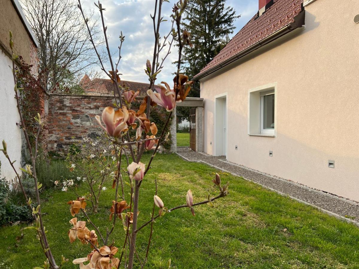Ferienwohnung Om Yoga Center Slovenska Bistrica Exterior foto